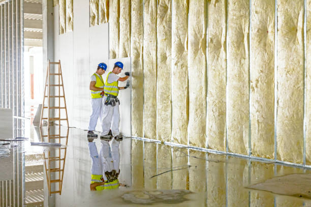 Best Insulation Contractors for Homes  in Priceville, AL